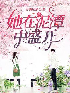 生化危机：浣熊市行动